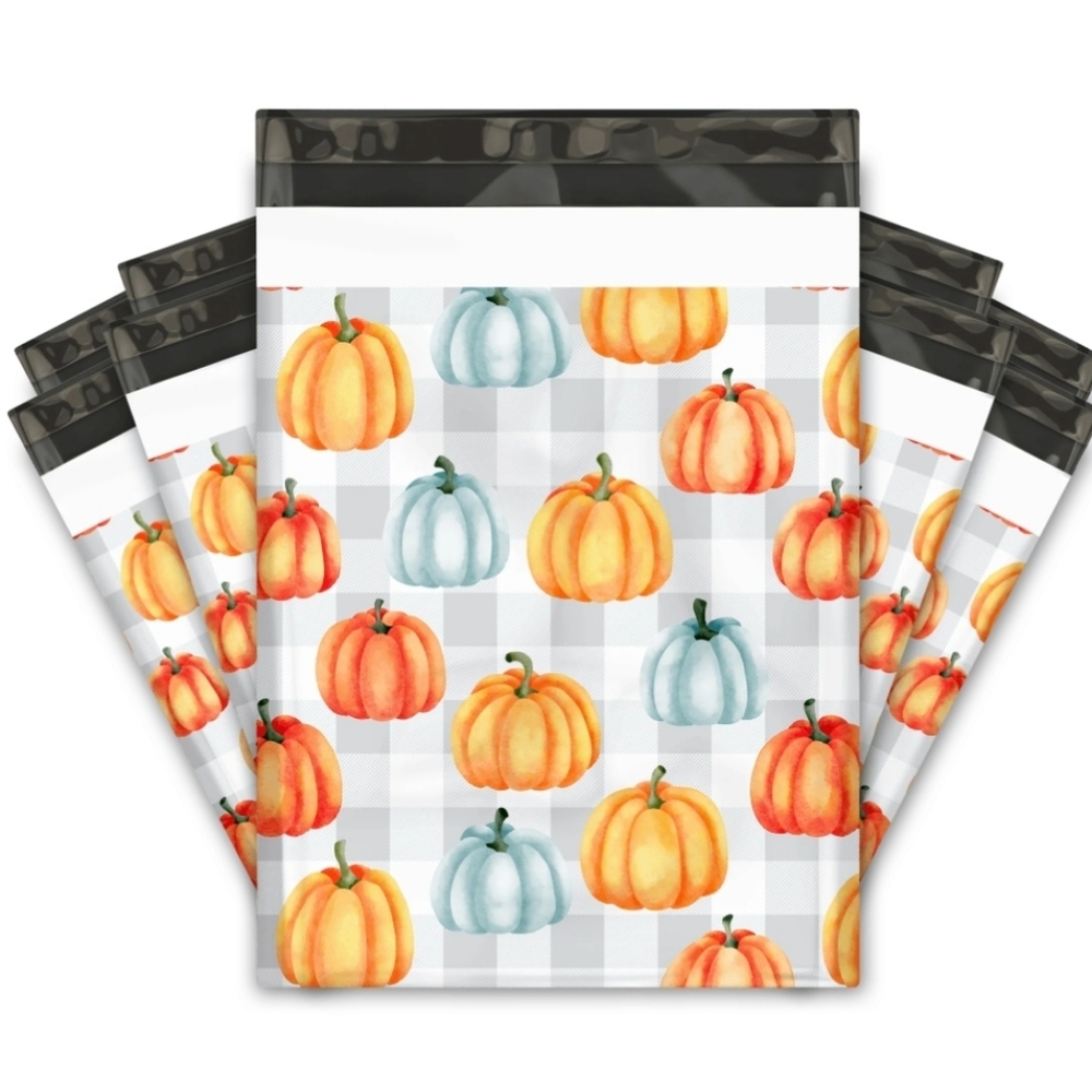 Pumpkin 10x13 Poly mailers  20pk